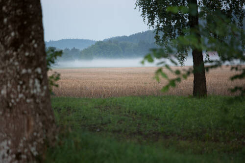 media/16199350-1f76-4a00-af74-b66723e80f18.jpg?w=1500