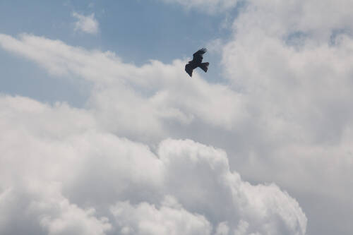 media/1e1aa18c-aaf0-47ef-b1a7-20e43a2ecea3.jpg?w=1500